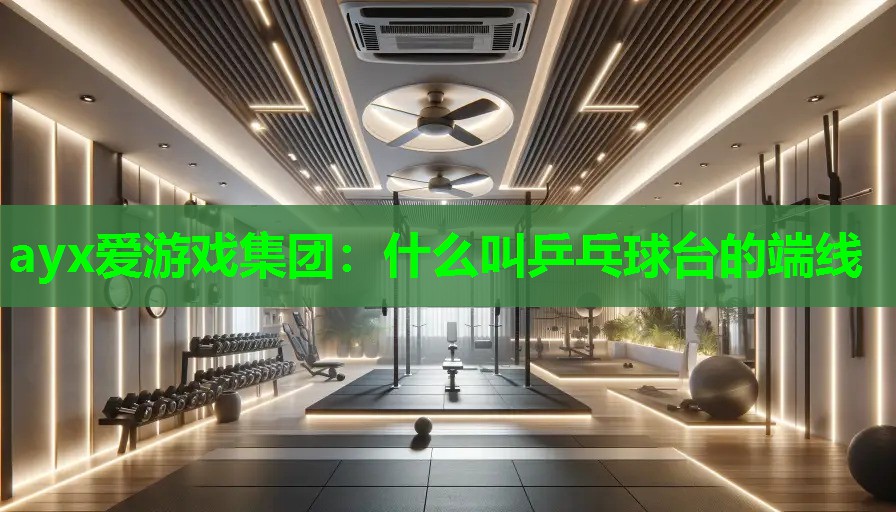 ayx爱游戏集团：什么叫乒乓球台的端线