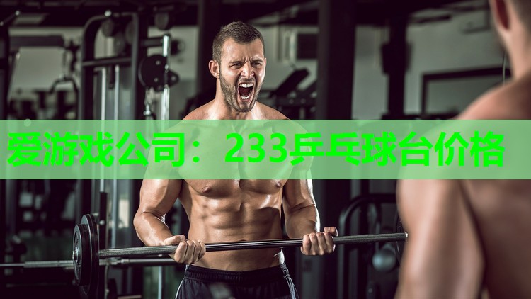 爱游戏公司：233乒乓球台价格