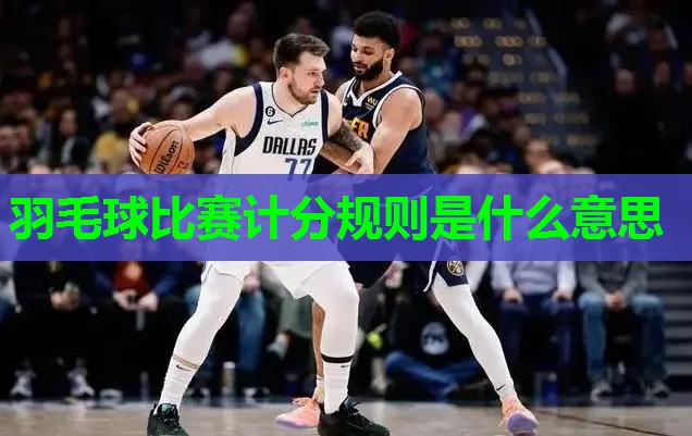 羽毛球比赛计分规则是什么意思